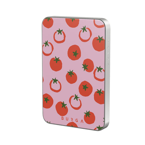 CM_09MS_MagPbank5K-SI