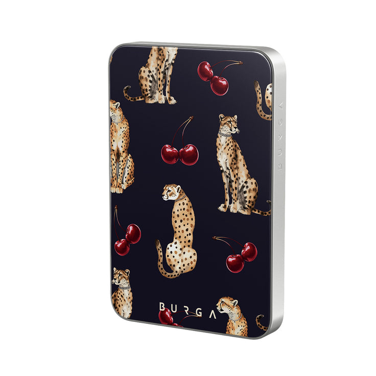 PA_01MS_MagPbank5K-SI